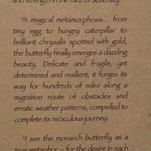 Premiere Designs Turquoise & Brown Beaded Necklace, Bracelet, Earrings Set